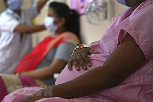Vaccine ngừa COVID-19 không ảnh hưởng đến khả năng thụ thai
