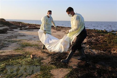 Đắm tàu ngoài khơi Tunisia, 11 người thiệt mạng và mất tích
