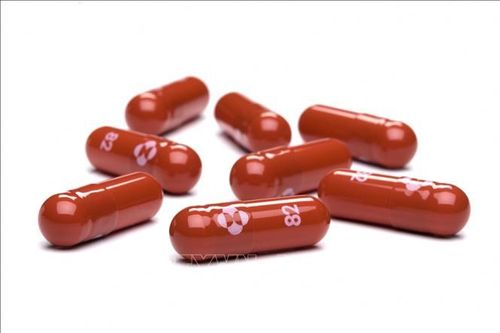 105 quốc gia sẽ có thuốc điều trị COVID-19 giá rẻ hơn