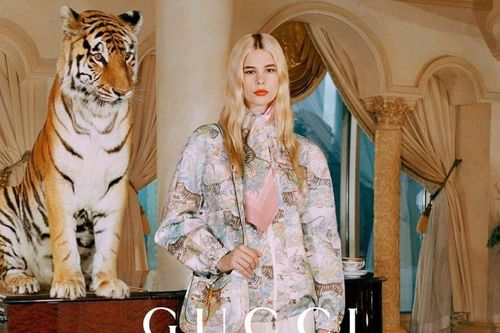 Quảng cáo năm mới của Gucci có nguy cơ bị gỡ vì sử dụng hổ thật