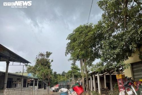 12 kẻ hành hung công an bị thương khi bảo vệ thiết bị điện gió lĩnh án