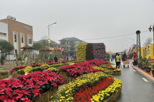 Hà Nội mở đường hoa xuân 'Hành trình vàng son Tết Việt'