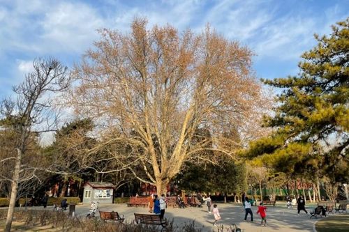 Trung Quốc khuyến khích sinh con thứ ba
