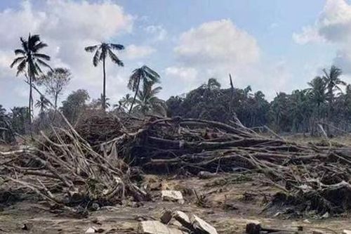 Quốc tế viện trợ Tonga sau thảm họa núi lửa và sóng thần