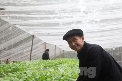 Chàng trai 9x đánh thức vùng đất hoang
