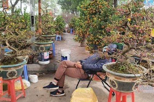 Cảnh hiếm có ở chợ hoa xuân lớn nhất Hà Nội ngày cận Tết