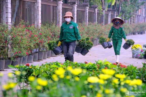 Gấp rút hoàn thành các tuyến đường hoa Tết tại TP. Vinh