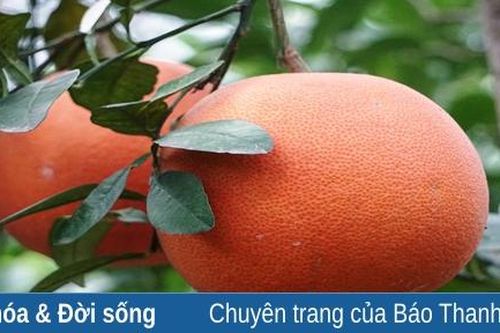 Những sản vật trên đất 'Hai Vua'