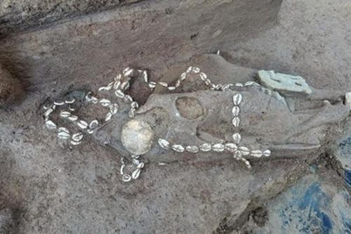 Phát hiện mộ cổ 'giàu có', chuyên gia sững người thấy thứ bên trong