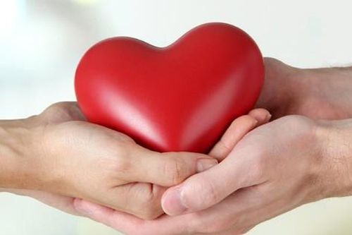 Người trẻ và nguyện vọng hiến tạng: Cho những điều lấp lánh mãi còn…