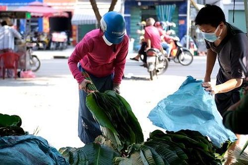 Chợ lá dong lớn nhất TPHCM bắt đầu nhộn nhịp không khí Tết
