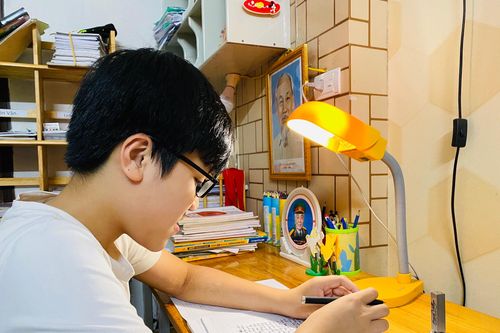 Nam sinh lớp 9 đạt 7.5 IELTS, được đặc cách giải Nhất tỉnh Hà Tĩnh