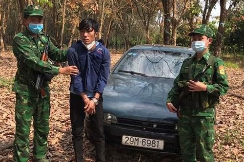 Giả công nhân khai thác mủ cao su để vận chuyển ma túy