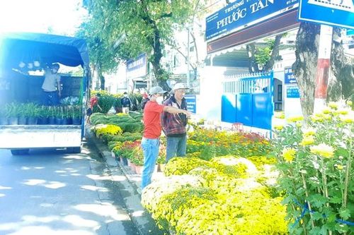 Xuân đã về trên phố biển Nha Trang