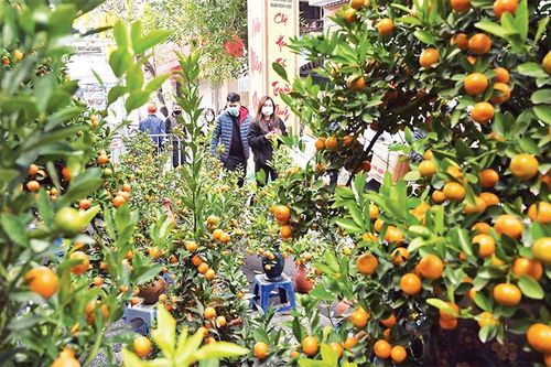Rực rỡ chợ xuân phố cổ