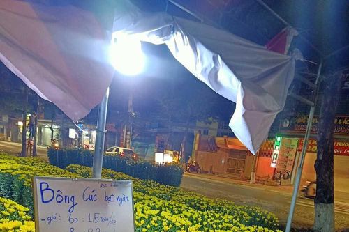 'Ông chủ sạp rau' Minh Râu bán hoa Tết, netizen ủng hộ hết lời