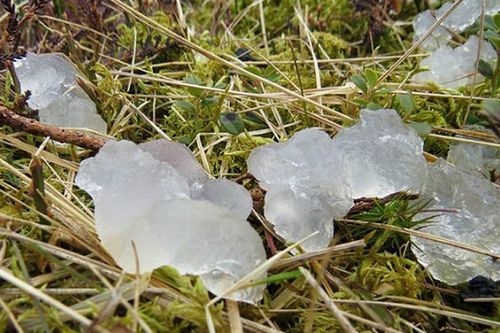 Đi rừng, bất ngờ thấy 'thạch trắng' ngoài hành tinh ào xuống Trái đất