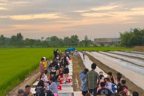 Quán ăn giữa đồng lúa tại miền Tây