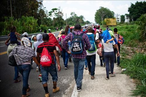 Mexico phát hiện hơn 3.000 người di cư trái phép trong 2 ngày
