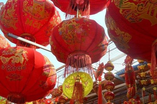Khánh Hòa: Xuân về trên phố biển Nha Trang
