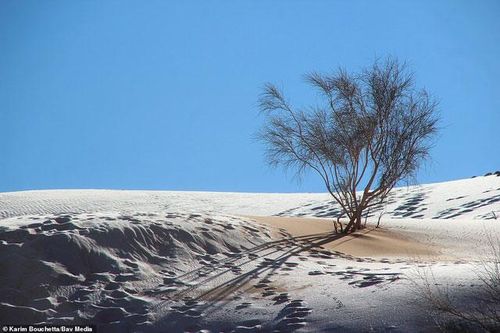 Cảnh tượng cực hiếm: Băng tuyết phủ trắng sa mạc Sahara