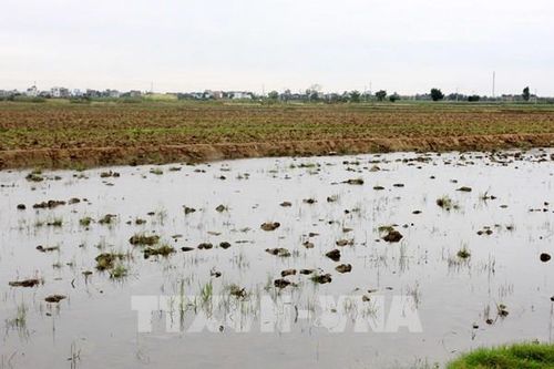 3 tỉnh cơ bản hoàn thành lấy nước cho vụ Đông Xuân