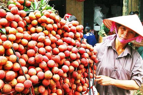 Tìm giải pháp bền vững cho tiêu thụ nông sản
