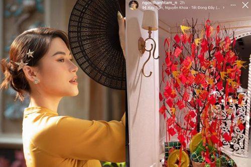 Ái nữ đại gia thủy sản lộ ảnh trang hoàng nhà ngày Tết