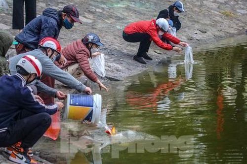 Thả tro hương với cá, mặt nước hồ biến dị trong ngày ông Công ông Táo