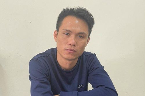 Bắt đối tượng phá hoại gần 30 cây quất cảnh bán Tết