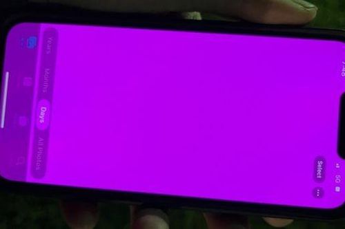 Nhiều iPhone 13 bị lỗi màn hình hồng