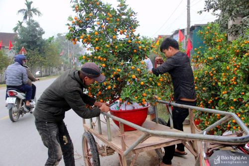 Nghề vận chuyển ngày cận Tết