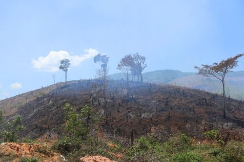 Đắk Nông: Vi phạm quản lý đất đai, ba cán bộ bị khởi tố, điều tra