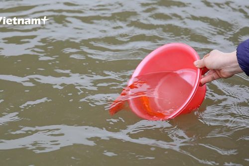 Muôn cách người dân Hà Nội thả cá chép tiễn Táo quân