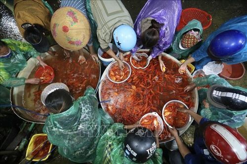 Hà Nội: Nhộn nhịp khu chợ buôn bán cá ngày ông Công, ông Táo