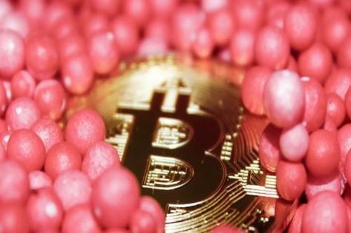Bitcoiner có thật sự 'không quan tâm' đến giảm giá?