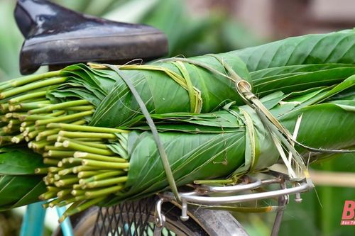 Lá dong xuống phố đón xuân về