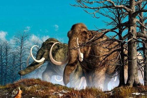 Hóa thạch voi ma mút Kỷ Băng hà hé lộ bí mật thời tiền sử
