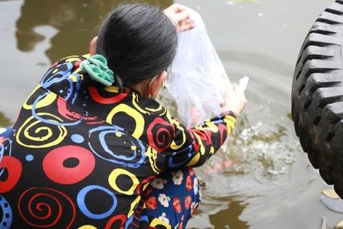 Người dân Sài Gòn đến chùa cầu an, thả cá ngày tiễn ông Công, ông Táo