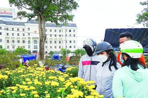 Thị trường hoa tết: Nơi đắt, chỗ ế