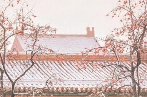 Trung Quốc: Ngắm Tử Cấm Thành mờ ảo hiếm thấy dưới những bông tuyết trắng