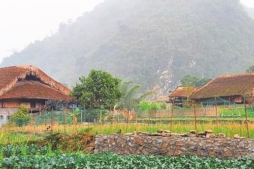 Đóa xuân giữa miền xanh thẳm