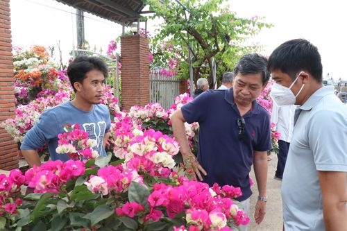 'Vương quốc hoa kiểng' Chợ Lách hấp dẫn du khách dịp cuối năm