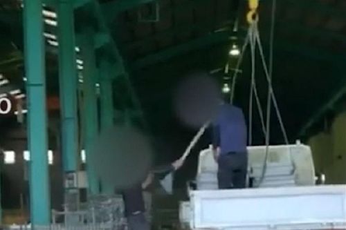 Nhật Bản tăng cường quản lý sau vụ thực tập sinh Việt bị bạo hành
