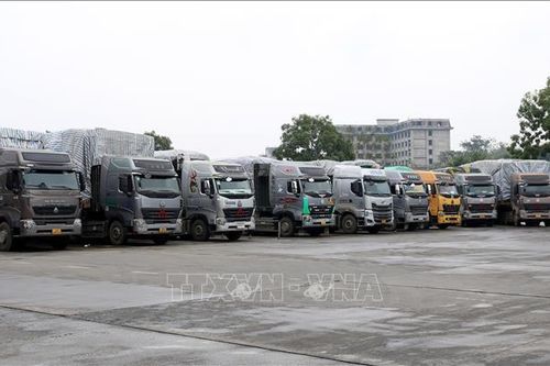 Hỗ trợ lái xe chở hàng đường dài đón Tết tại Cửa khẩu Lào Cai