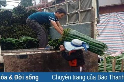 Lộc của núi rừng