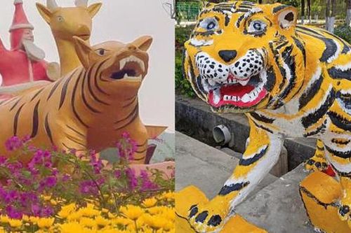 Lộ diện dàn Hổ Nhâm Dần 2022 khiến dân chúng kinh ngạc