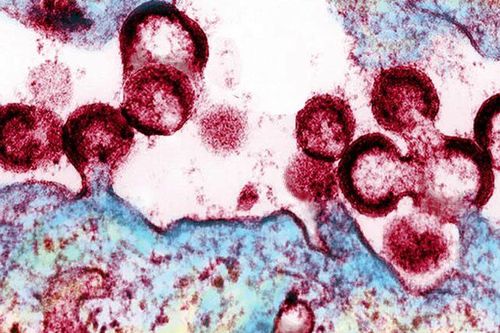Thuốc chữa ung thư Keytruda có thể hỗ trợ điều trị hiệu quả HIV
