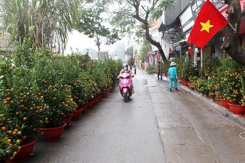 Hà Nội chủ động ứng phó rét đậm, rét hại dịp Tết Nguyên đán