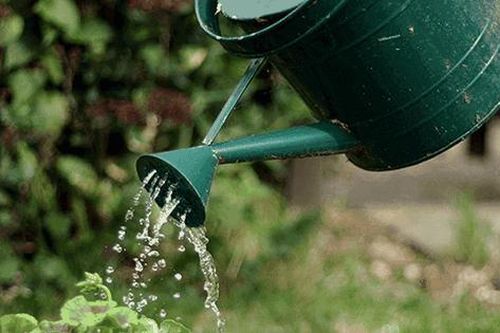 Thu hồi văn bản phân công học sinh quét rác, tưới cây trong kỳ nghỉ Tết